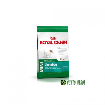 ROYAL CANIN MINI PUPPY KG 8